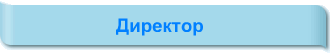 Директор