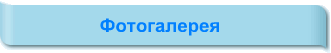 Фотогалерея