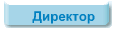 Директор