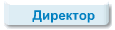 Директор